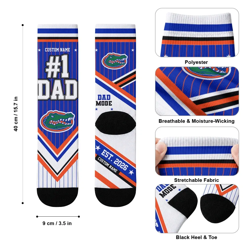 Florida Gators Socks Customized Pinstripe Chevron Blue White High Quality Florida Gators Socks Customized Pinstripe Chevron Blue White High Quality